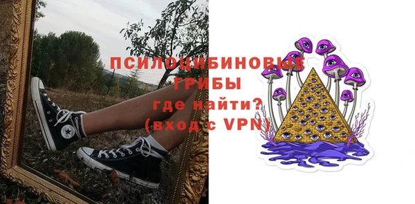 apvp Алзамай