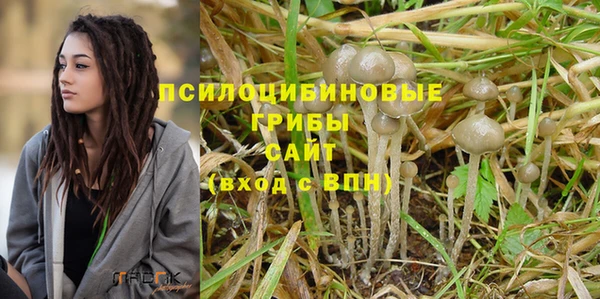 прущий лед Алексин