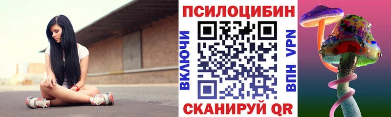 Галлюциногенные грибы Psilocybe  наркотики  Мышкин 
